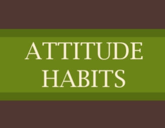 ABB Attitude Habits